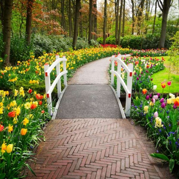 flower-path-flower-garden-ideas-5-1025861658